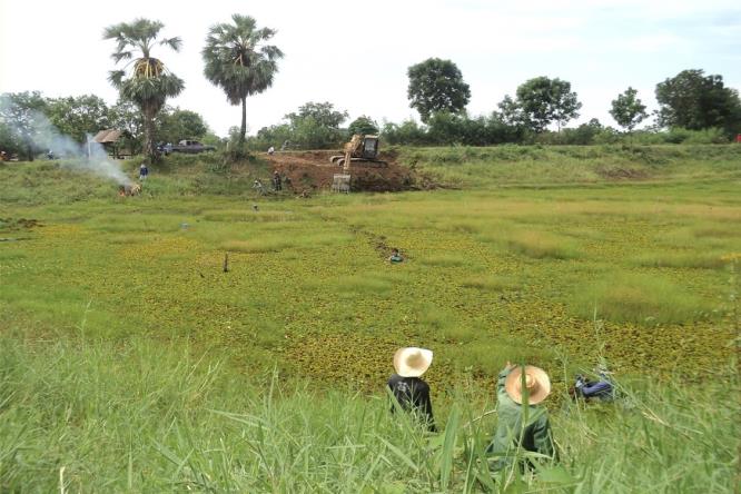  ชาวตะโกร่วมใจกำจัดผักตบชวา  